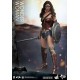 Batman vs Superman Dawn of Justice Movie Masterpiece Action Figure 1/6 Wonder Woman 29 cm